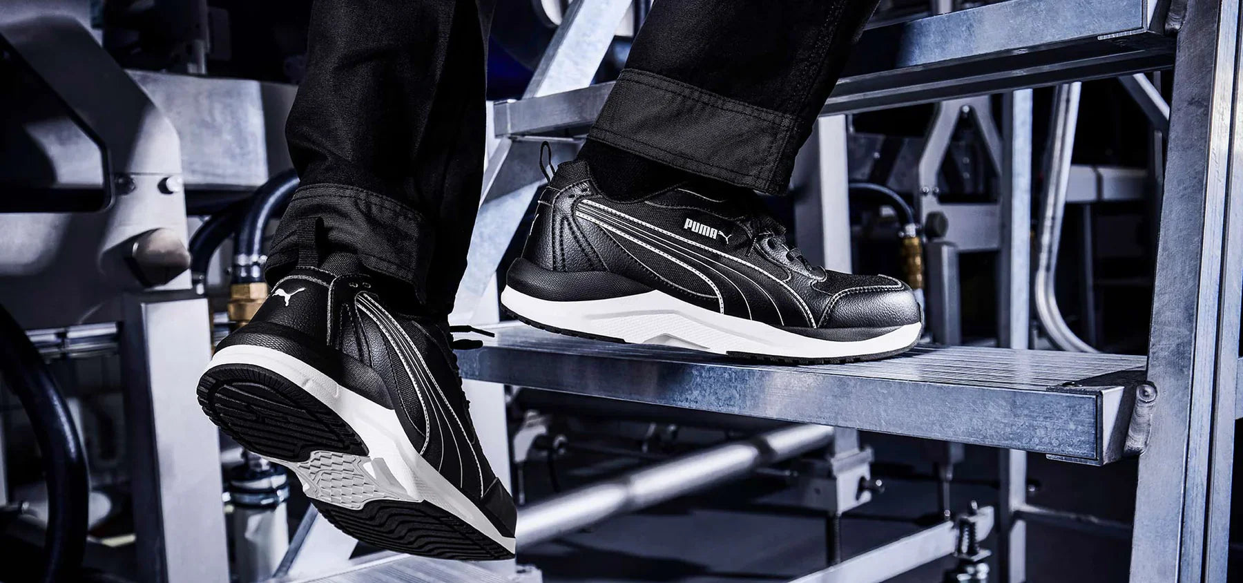 Puma