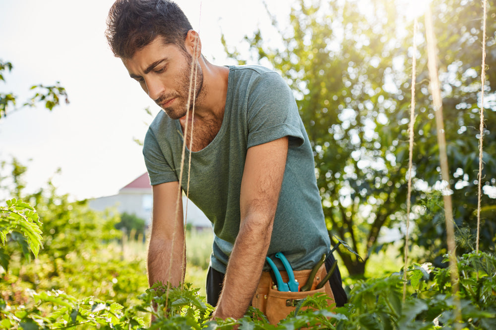Landbouw & buitenwerk