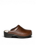 Strovels 303 O.H. Klomp PU Zool